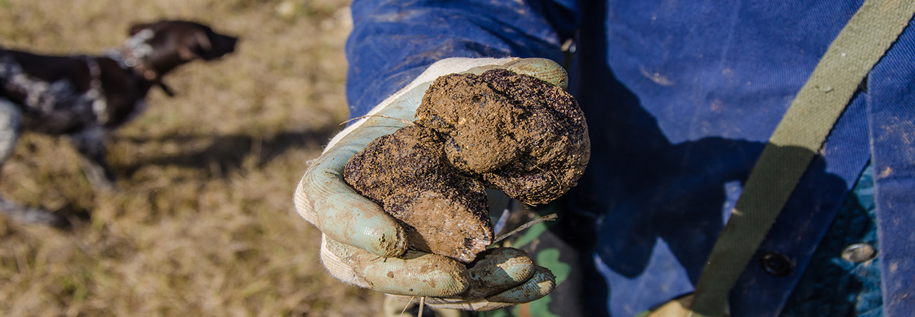 Thessaloniki, Ioannina, Zagoria, Meteora [8days]