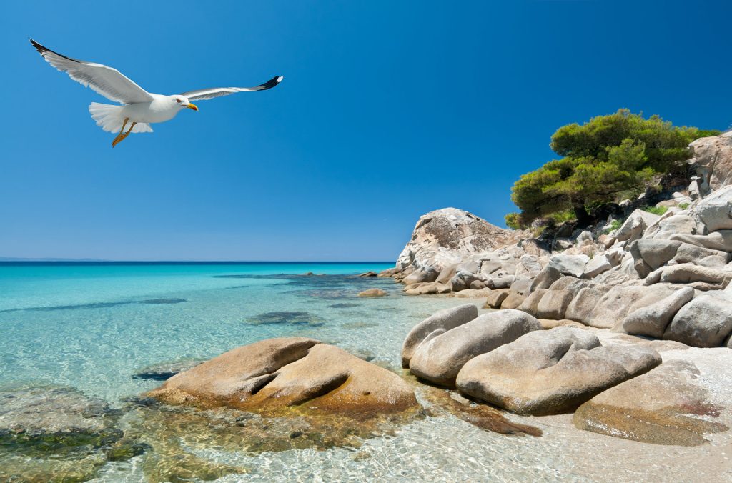 Thessaloniki & Halkidiki Escape, 8days Thessaloniki & Halkidiki Escape, 8days