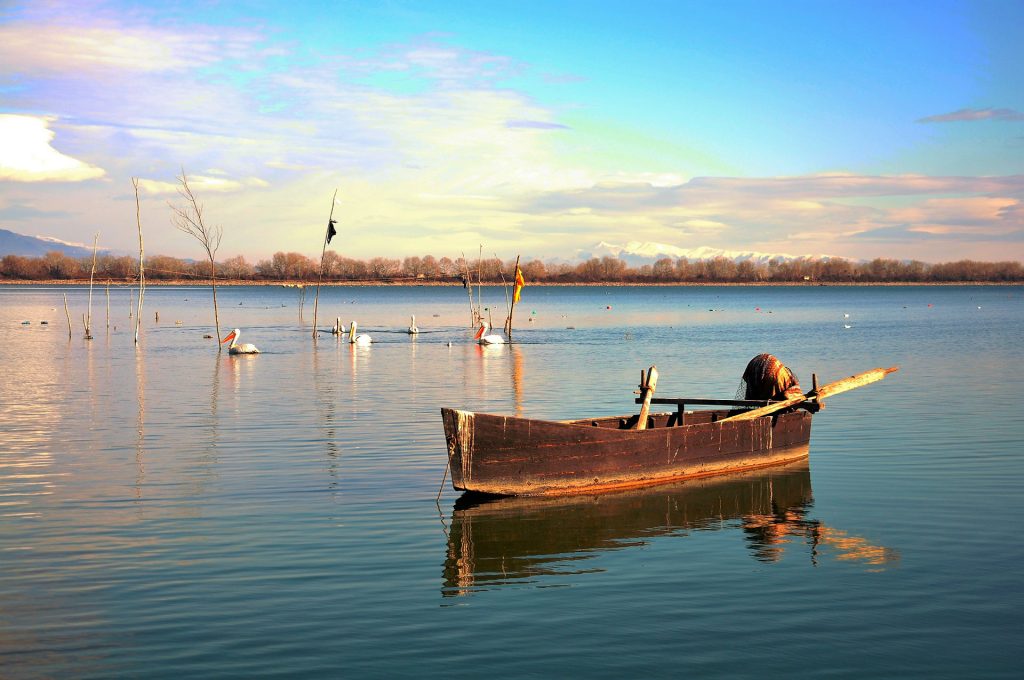 Lake Kerkini & Serres Nature FIT Program, 4 Days