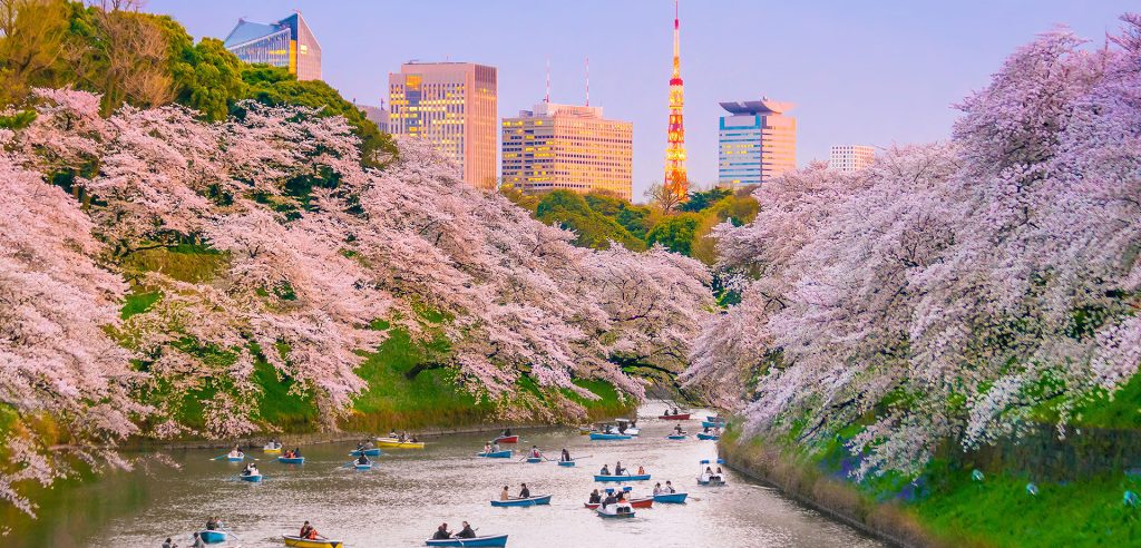 Ιαπωνία [20ημ.]