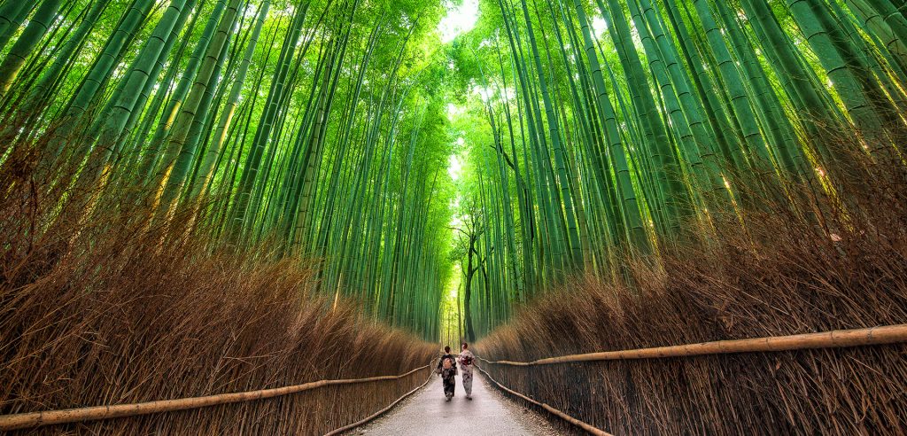 Ιαπωνία - Χιροσίμα, 13 ημ