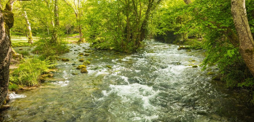 Bites of Imathia [4days]