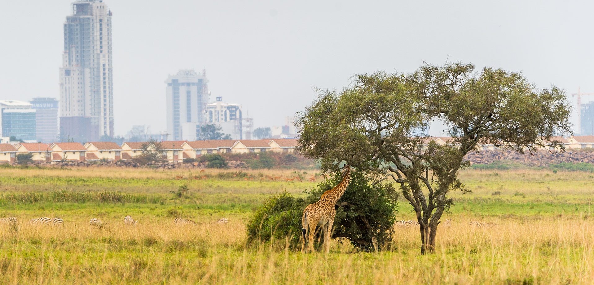 Κένυα Σαφάρι - Ναϊρόμπι