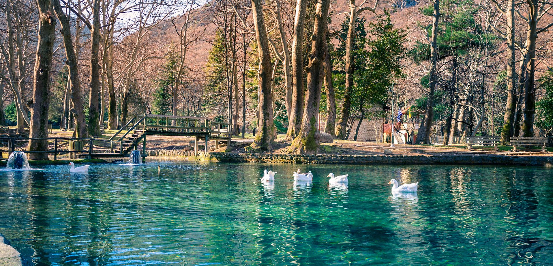 The wine routes in Northern Greece [4days]