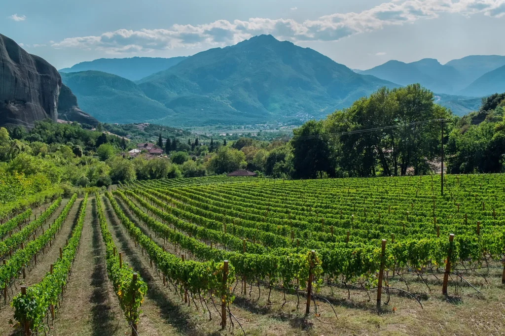 The Ultimate Peloponnese Wine & Culinary Journey, 10 days